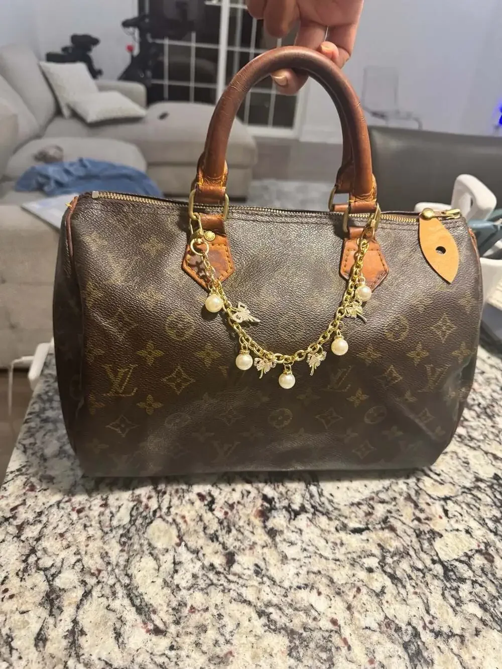 Louis Vuitton Monogram Speedy 30 Handbag | LegitApp COA | Clean Interior